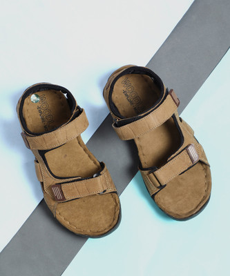 WOODLAND Men Sandals(Multicolor , 6 UK/India)