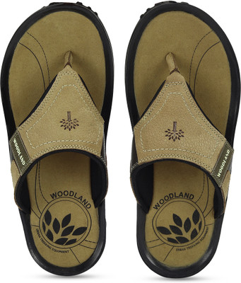 WOODLAND Men Casual(Multicolor , 8)