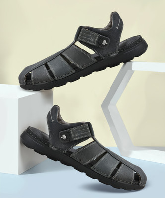 WOODLAND Men Casual(Navy , 6)