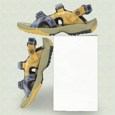 WOODLAND Men Blue Sandals