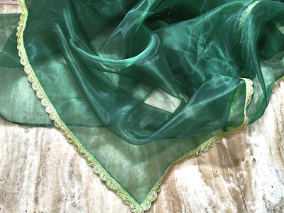 Good Things Creations Floral Print Daily Wear Organza Saree(Green)