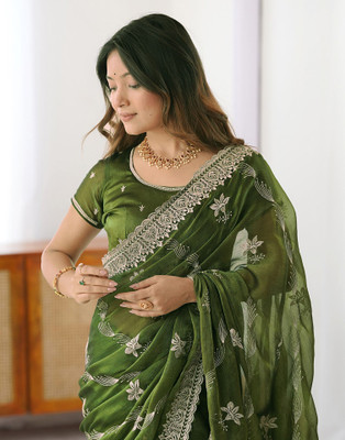 Satrani Embroidered Bollywood Jimmy choo, Chiffon Saree(Green)
