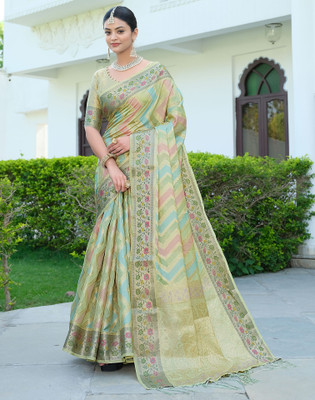 Satrani Woven, Embellished, Self Design Ikkat Organza, Jacquard Saree(Green, Multicolor)