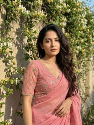 AMIYASILKMILLS Self Design, Embroidered Daily Wear Chiffon Saree(Light Green)