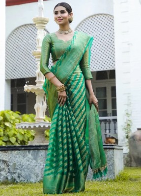 Divastri Woven Banarasi Organza Saree(Light Green)