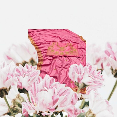 Vraj Embroidered Assam Silk Pure Silk Saree(Pink)