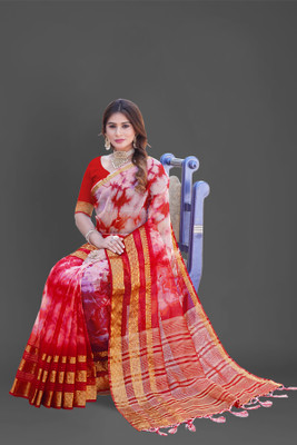 Aarunika BS Woven Bollywood Organza Saree(Red)