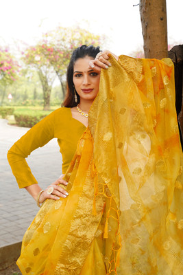 Aarunika MT Self Design Bollywood Organza Saree(Yellow)