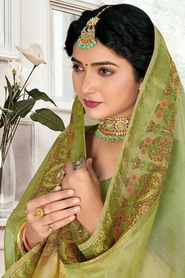 Paramparik Textile Temple Border, Solid/Plain Bollywood Organza, Jacquard Saree(Green)