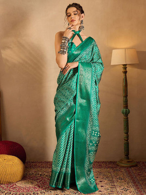 Anouk Rustic Printed Chinnalapattu Silk Blend Saree(Light Green)