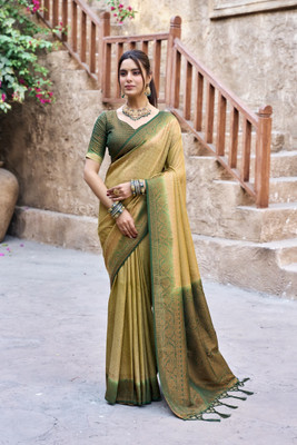 Shreesai Embroidered Bollywood Georgette Saree(Multicolor)