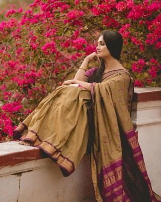 ALMAARI FASHION Embellished Banarasi Cotton Silk Saree(Beige, Purple)