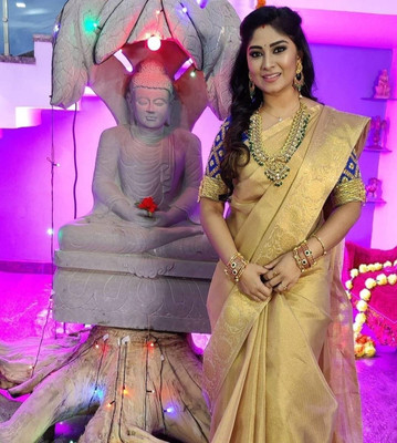 Sare Woven Banarasi Net Saree(Gold)