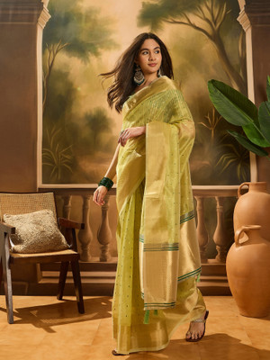 Sangria Self Design Saree with Attached Blouse Organza Saree(Light Green)