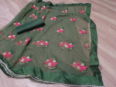 DWIJA ENTERPRISE Embroidered Bollywood Net Saree(Green)