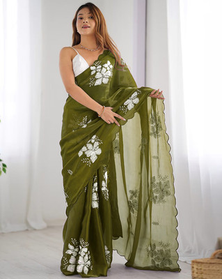 AreWah Embroidered Bollywood Jimmy choo Saree(Light Green)