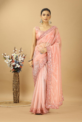 CHHELAJI Embroidered Bollywood Net Saree(Pink)