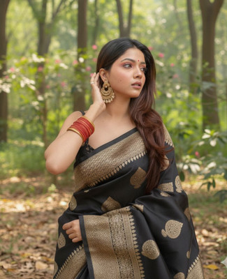 PARAMPARA CREATION Embroidered Banarasi Pure Silk Saree(Black)