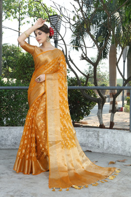 DHRUVIL TEXTILES Self Design Banarasi Organza, Cotton Silk Saree(Multicolor)