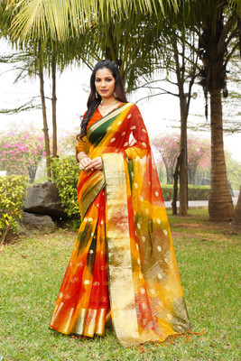 Aarunika SST Printed Bollywood Organza Saree(Multicolor)