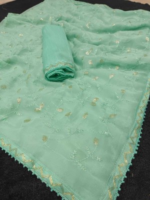 Sareez House Embroidered Bollywood Chiffon Saree(Light Blue)