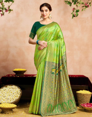 het designer studio Floral Print, Applique, Blocked Printed, Embroidered, Woven, Self Design Kanjivaram Jacquard, Art Silk Saree(Light Green)