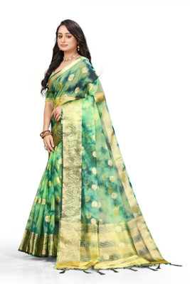 Aarunika SBT Woven Bollywood Organza Saree(Light Green)