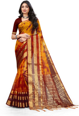 Aarunika BS Printed Bollywood Organza Saree(Multicolor)