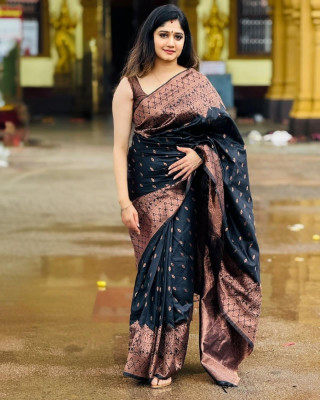 Liezen Woven, Embroidered Banarasi Silk Blend Saree(Black)