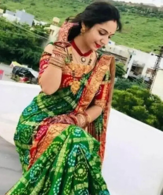 RohitDisgner Embroidered Banarasi Chiffon Saree(Green)