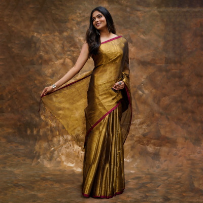 Teejh Solid/Plain Bollywood Tissue Saree(Brown)