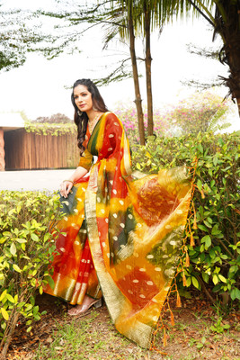 Aarunika SBT Woven Bollywood Organza Saree(Multicolor)