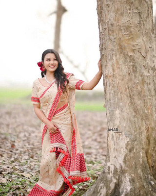 VrajVihar Woven Mekhela Chador Pure Cotton Saree(Cream)