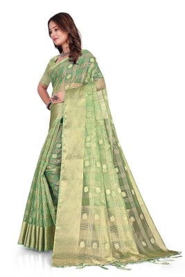 Aarunika SST Woven Bollywood Organza Saree(Light Green)