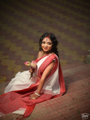 N HANDLOOM Temple Border Handloom Cotton Silk Saree(White, Red)