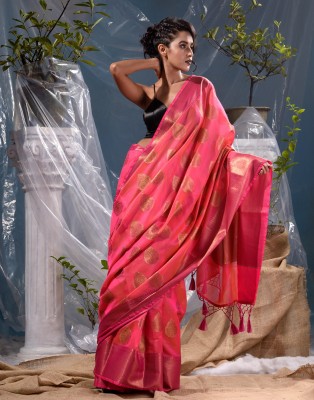 Banarasi Patola Printed Patola Silk Blend Saree(Pink)