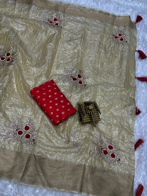 Divastri Embroidered Bollywood Tissue Saree(Cream)