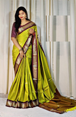 ELNOCK Woven Paithani Silk Blend Saree(Green)