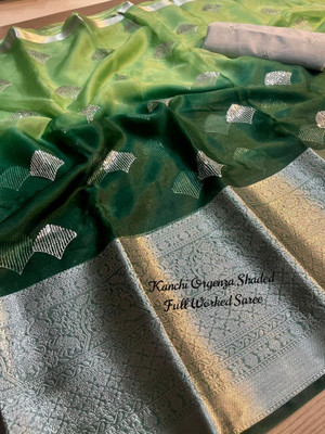 AKHANAD ANAND CREATION Embroidered Chettinadu Organza Saree(Green)