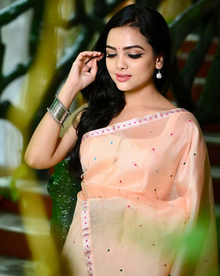 Ramani brothers Woven Mekhela Chador Pure Silk Saree(Multicolor)