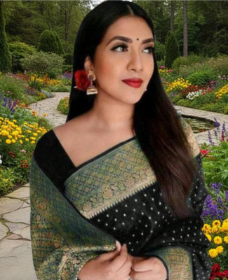 PARAMPARA CREATION Embroidered Banarasi Pure Silk Saree(Black)