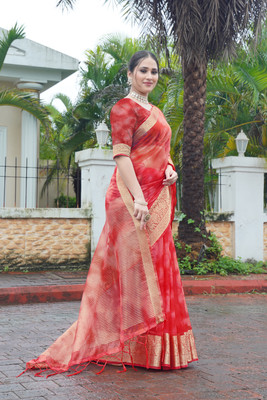 Aarunika AF Printed Bollywood Organza Saree(Red)