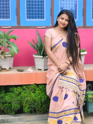 VARCREATION Woven Mekhela Chador Pure Cotton Saree(Multicolor)