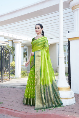 Aarunika MNT Printed Bollywood Organza Saree(Light Green)