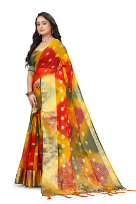 Aarunika AF Printed Bollywood Organza Saree(Multicolor)