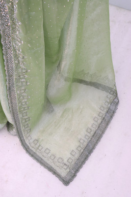 Jennyfab Embellished Bollywood Brasso Saree(Light Green)