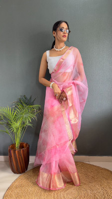RAGISHA ENTERPRISE Solid/Plain Bollywood Organza Saree(Pink)