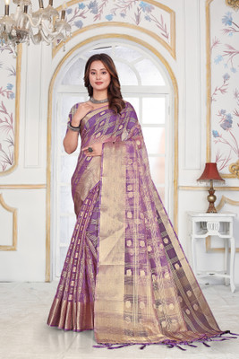 Aarunika SBT Solid/Plain Bollywood Organza Saree(Light Blue)