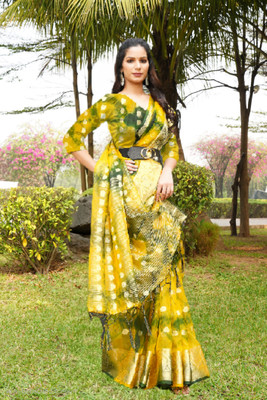 Aarunika SKT Printed Bollywood Organza Saree(Multicolor)