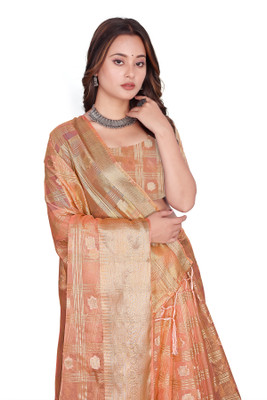 Aarunika LGF Printed Bollywood Organza Saree(Cream)